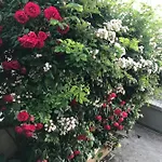 Bed & Breakfast La S'volta Vanzago