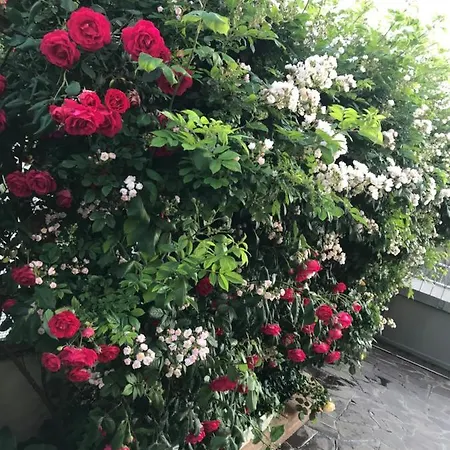 住宿加早餐酒店 La S'volta Vanzago